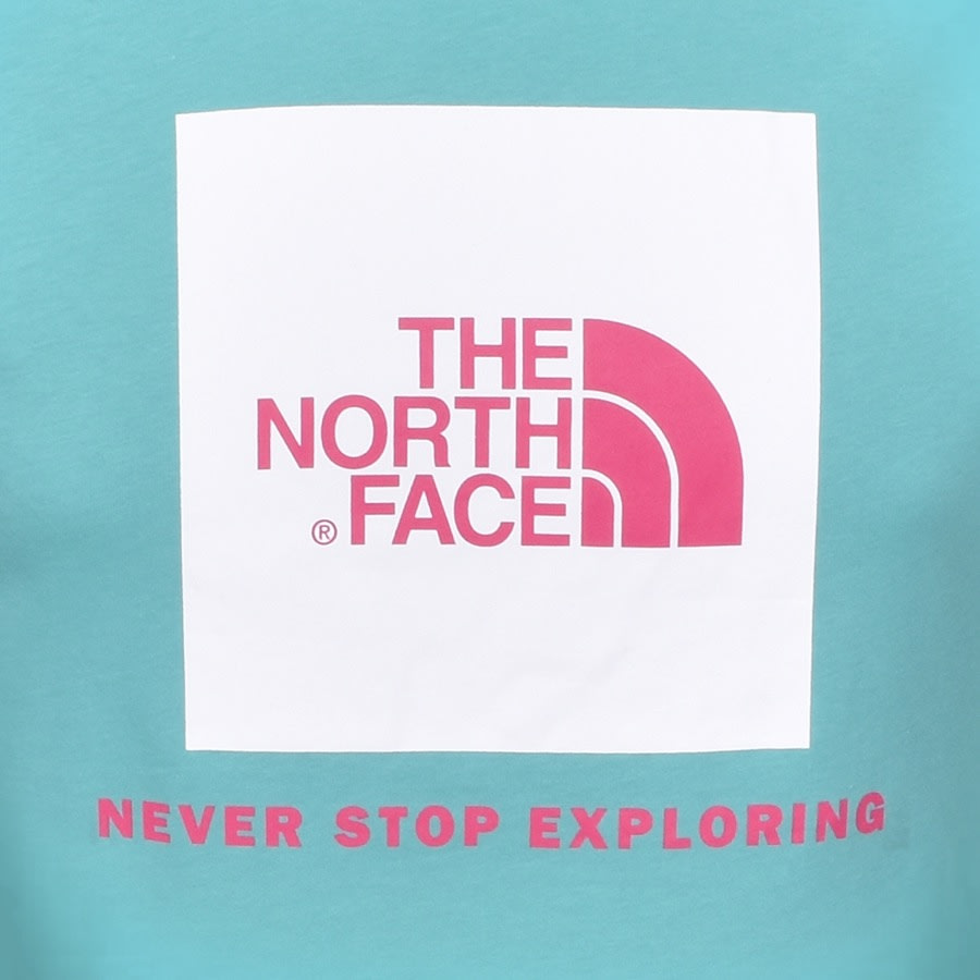 Alternative Image for ProductThe North Face Raglan Redbox T Shirt Blue3